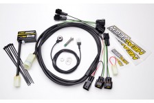 iQSE-1 + QSR-F2F