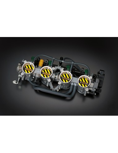 HealTech éliminateur moteur papillons secondaires - STVE-13